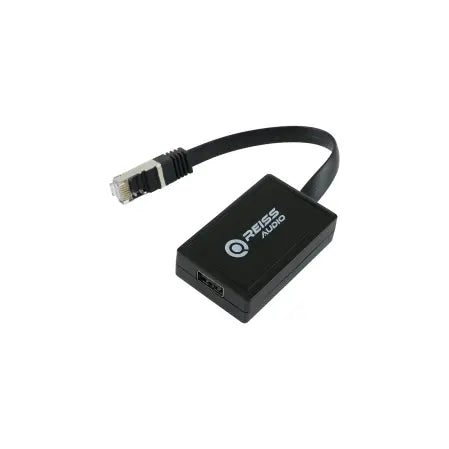 Reiss RS-DSP6.100